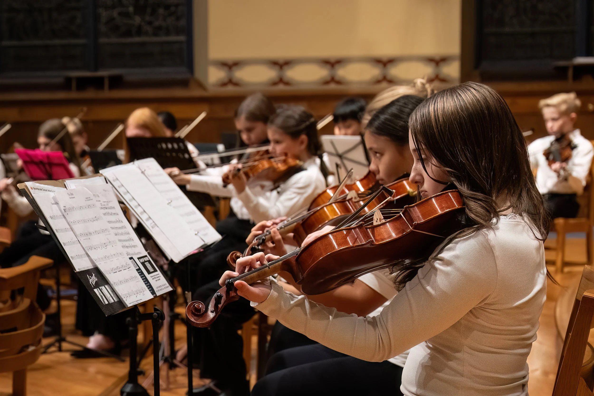 JSP (5th-9th Grade) — Young People's Philharmonic